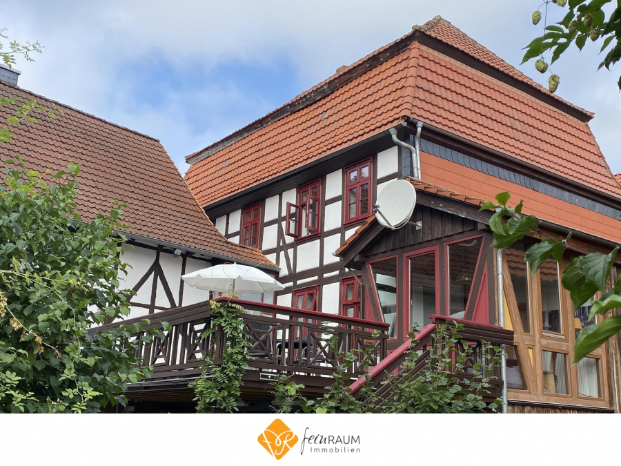 Wohnen und Arbeiten unter einem Dach – außergewöhnliches Herrenhaus mit Charakter, 37136 Landolfshausen, Einfamilienhaus